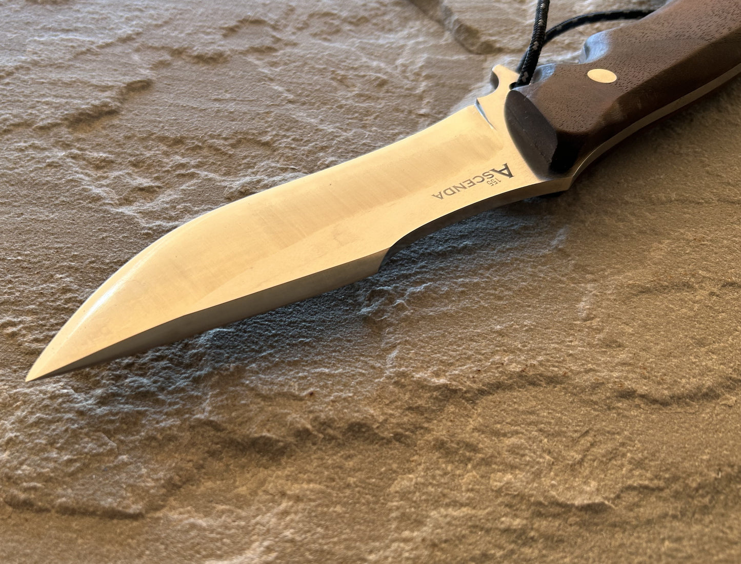 Ascenda 155